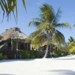 Captain Morgan's Belize