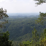 HVI
