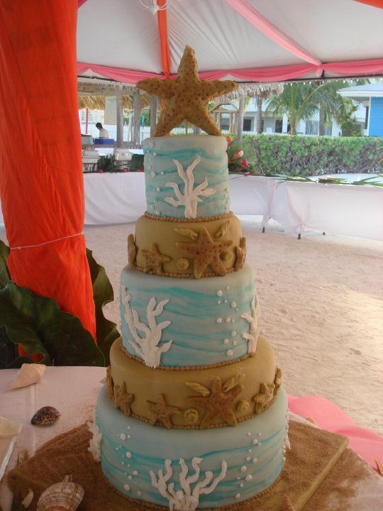 cake 8